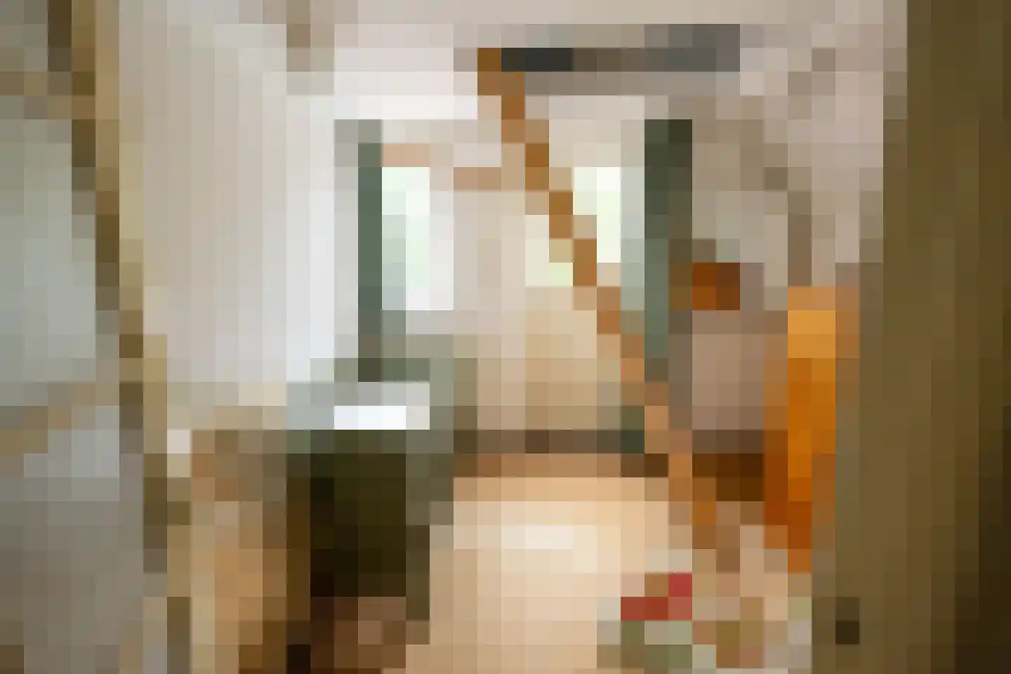 Pontweg 66 Den Hoorn thumbnail 36