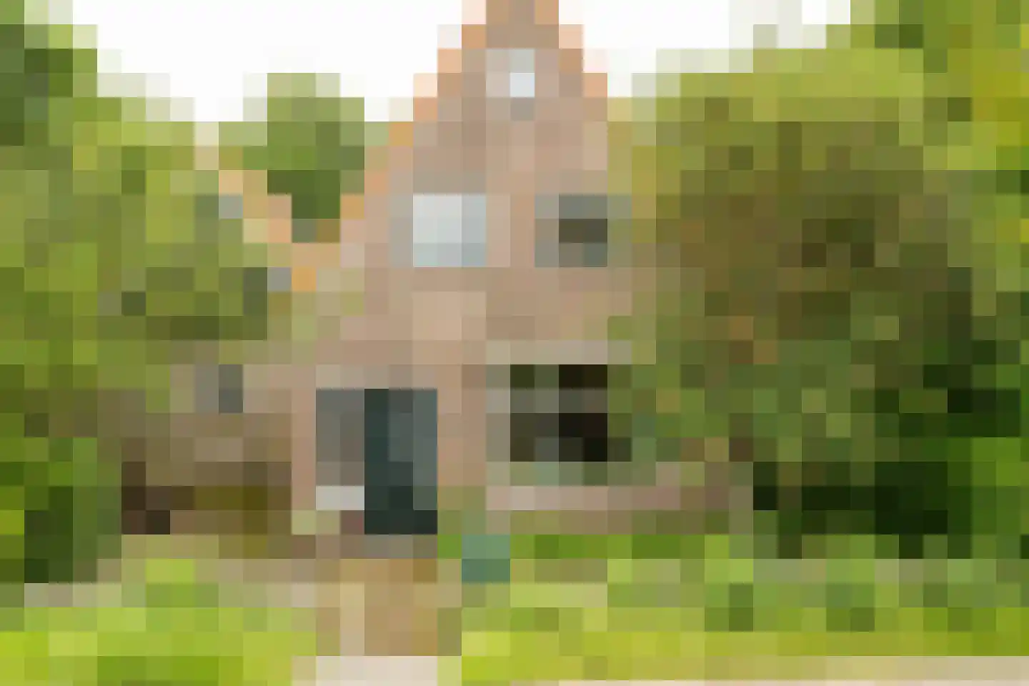 Pontweg 66 Den Hoorn thumbnail 4