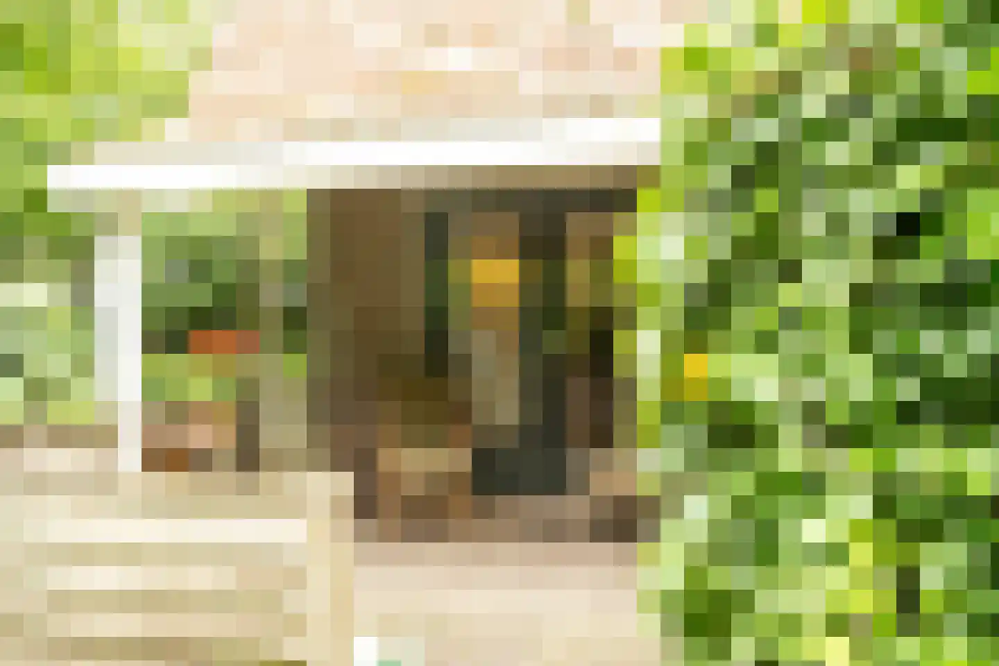 Pontweg 66 Den Hoorn thumbnail 5
