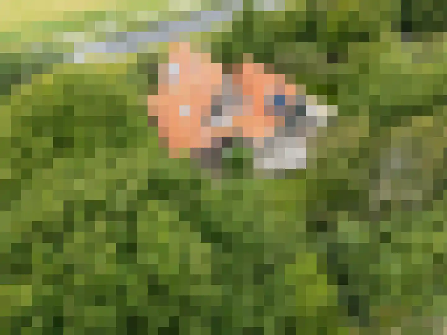 Pontweg 66 Den Hoorn thumbnail 6