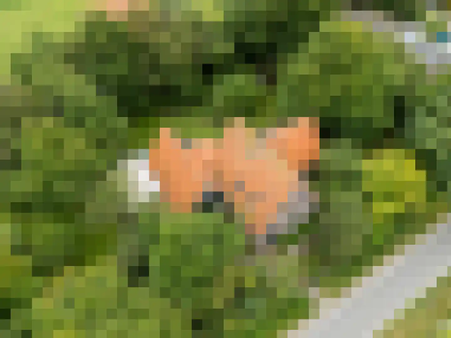 Pontweg 66 Den Hoorn thumbnail 7