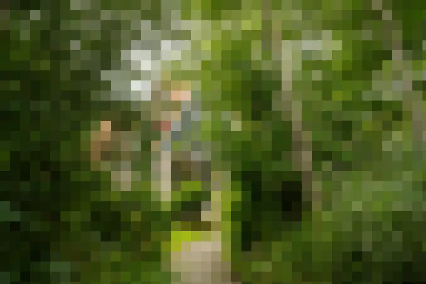 Pontweg 66 Den Hoorn thumbnail 8