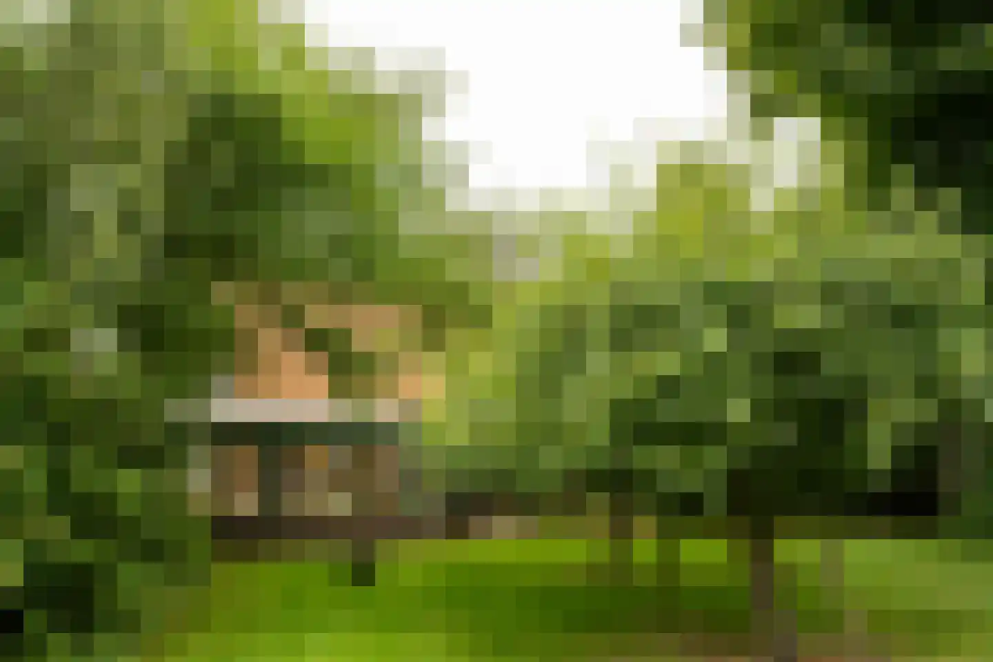 Pontweg 66 Den Hoorn thumbnail 9