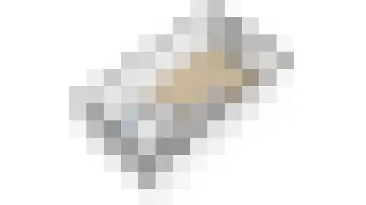 Ponyhof 2 Delft thumbnail 22