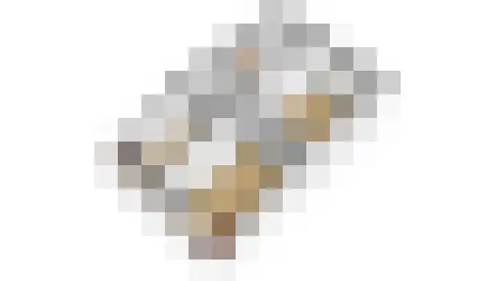Ponyhof 2 Delft thumbnail 24