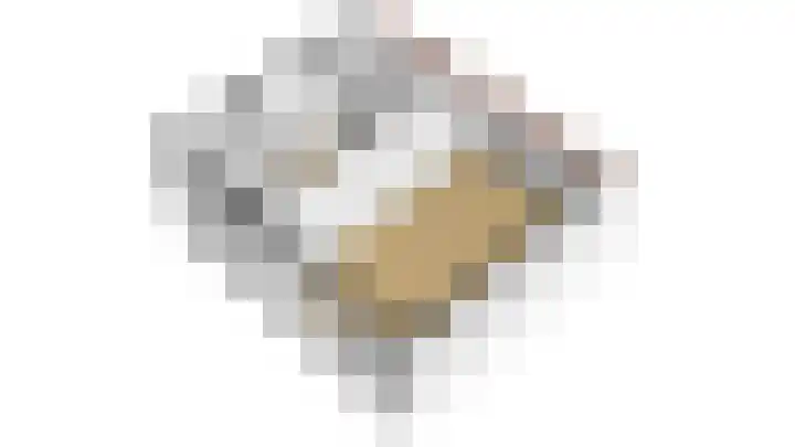 Ponyhof 2 Delft thumbnail 26