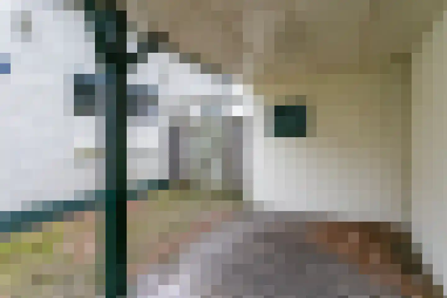 Ponyhof 2 Delft thumbnail 28