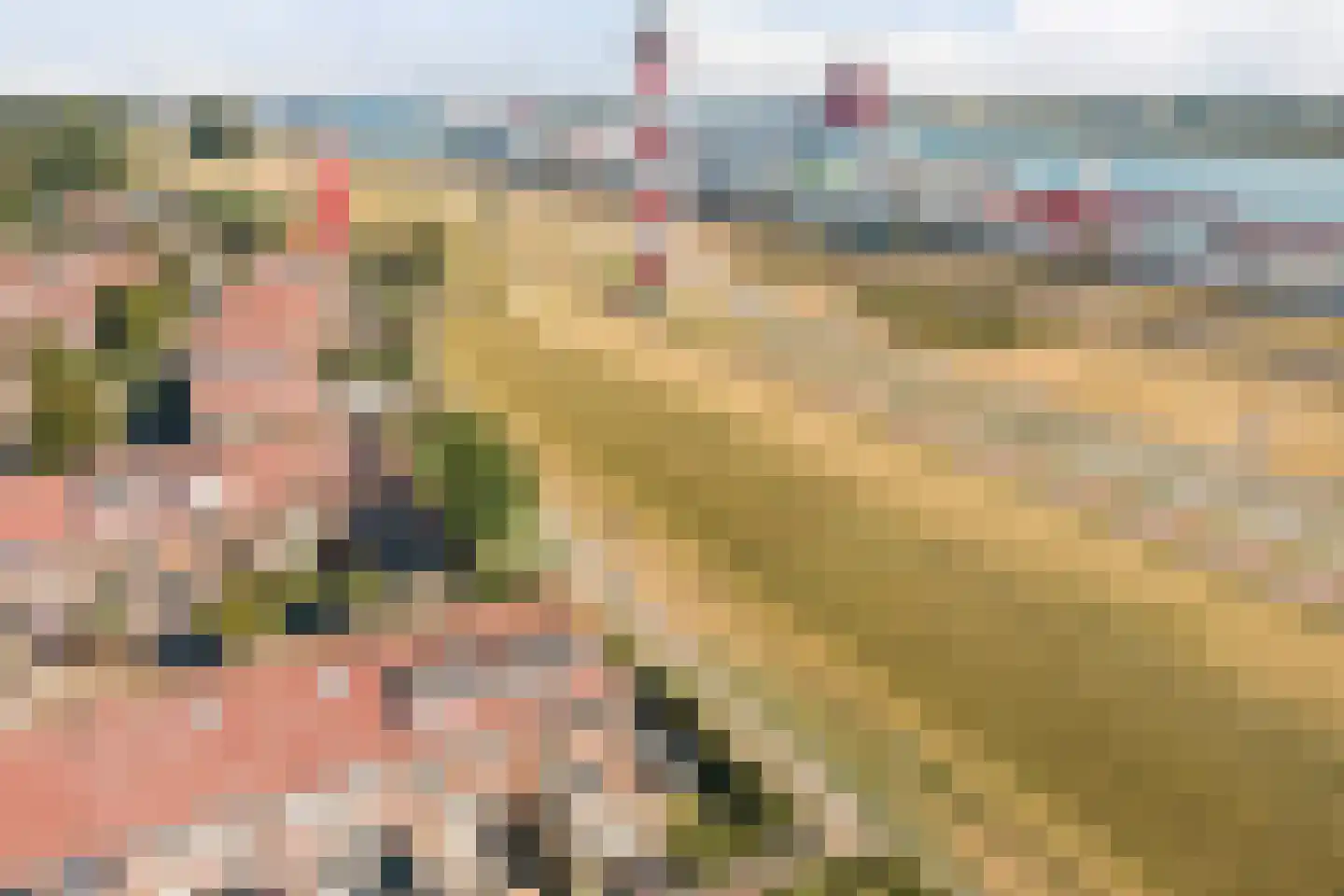 Ponystraat 21 Hoek van Holland thumbnail 48