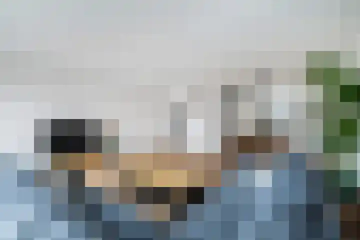 Ponyweide 10 Zoetermeer thumbnail 12