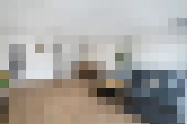 Ponyweide 10 Zoetermeer thumbnail 13
