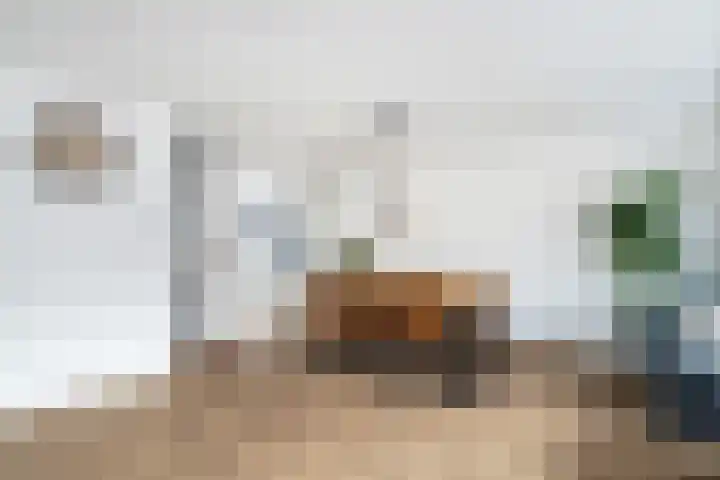 Ponyweide 10 Zoetermeer thumbnail 14