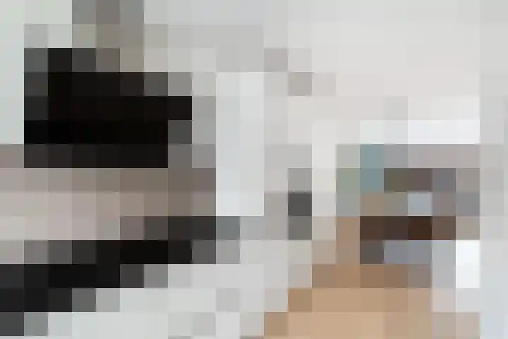 Ponyweide 10 Zoetermeer thumbnail 20