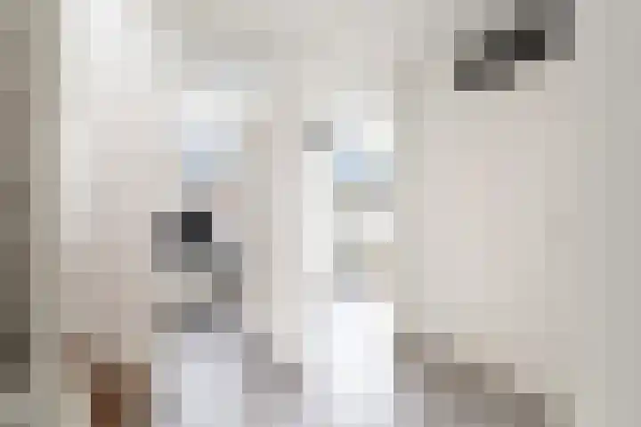 Ponyweide 10 Zoetermeer thumbnail 24