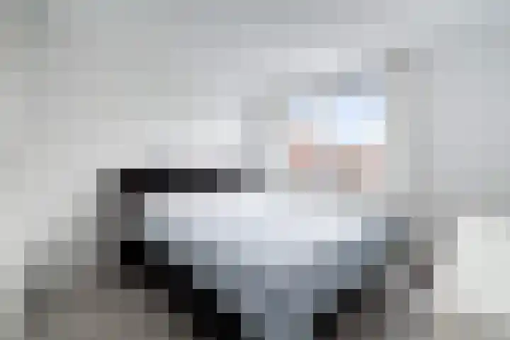 Ponyweide 10 Zoetermeer thumbnail 28
