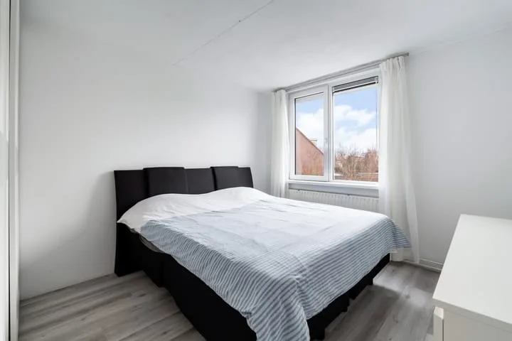 Ponyweide 10 Zoetermeer thumbnail 28