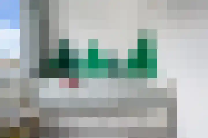 Ponyweide 10 Zoetermeer thumbnail 35