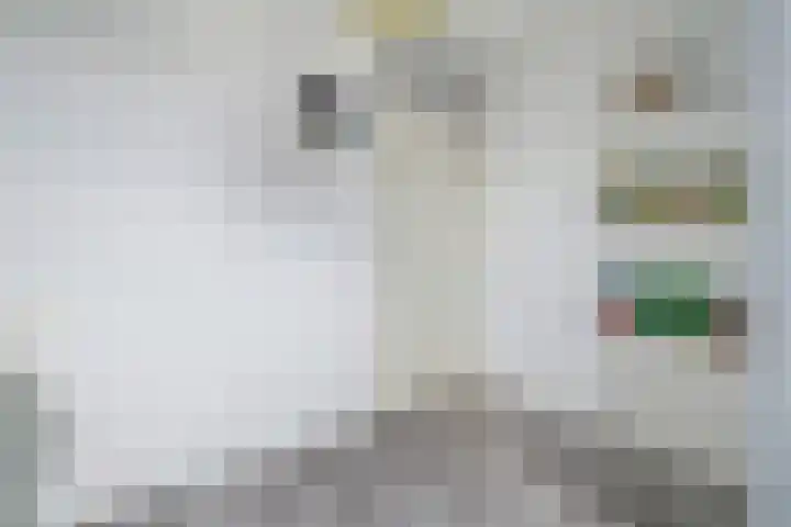 Ponyweide 10 Zoetermeer thumbnail 36