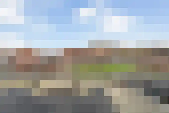 Ponyweide 10 Zoetermeer thumbnail 43