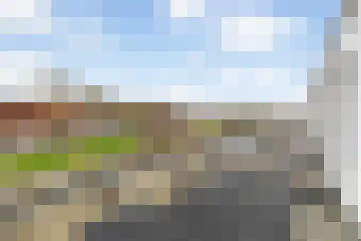 Ponyweide 10 Zoetermeer thumbnail 44