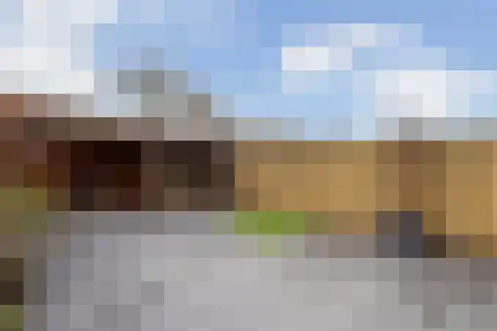 Ponyweide 10 Zoetermeer thumbnail 48