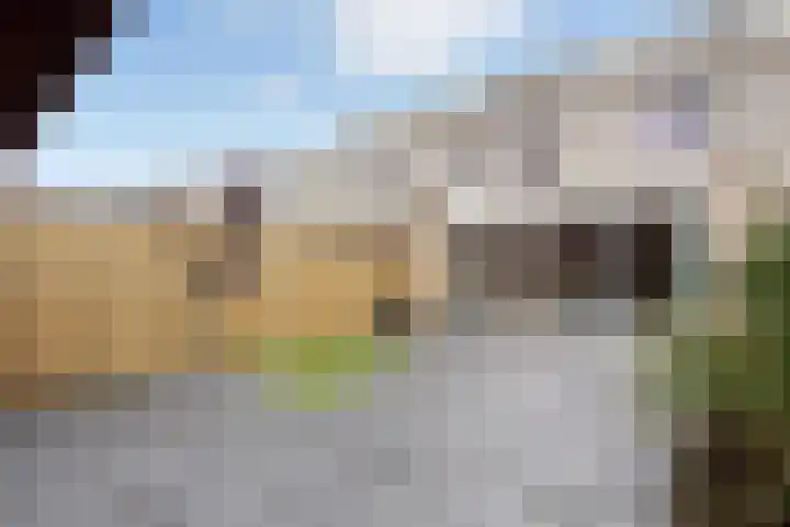 Ponyweide 10 Zoetermeer thumbnail 50