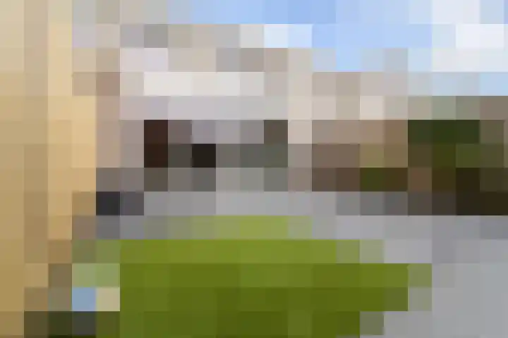 Ponyweide 10 Zoetermeer thumbnail 51