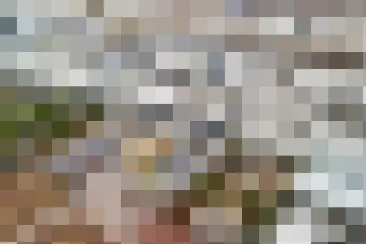Ponyweide 10 Zoetermeer thumbnail 53