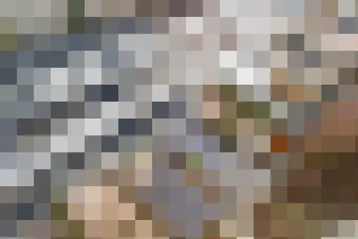 Ponyweide 10 Zoetermeer thumbnail 54