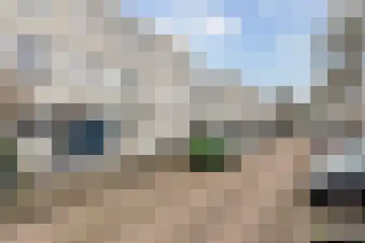 Ponyweide 10 Zoetermeer thumbnail 58