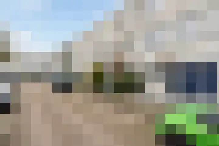 Ponyweide 10 Zoetermeer thumbnail 59