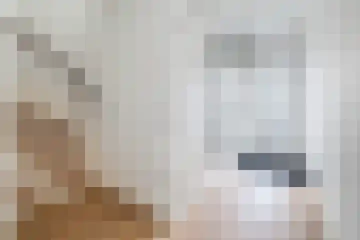 Ponyweide 10 Zoetermeer thumbnail 6