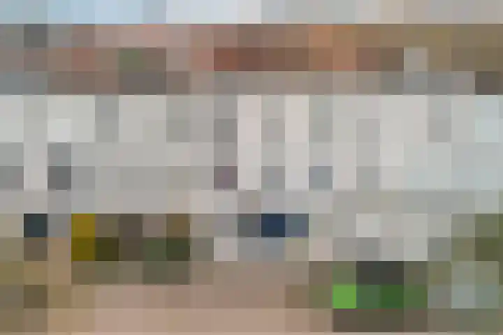 Ponyweide 10 Zoetermeer thumbnail 60