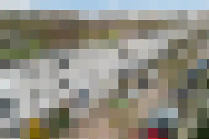 Ponyweide 10 Zoetermeer thumbnail 61