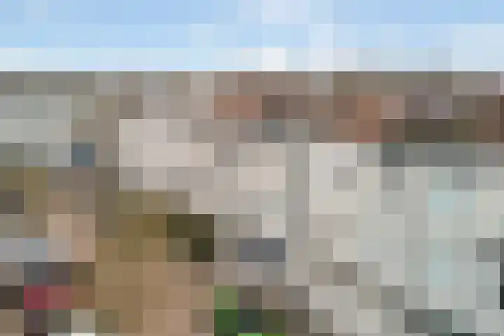 Ponyweide 10 Zoetermeer thumbnail 62