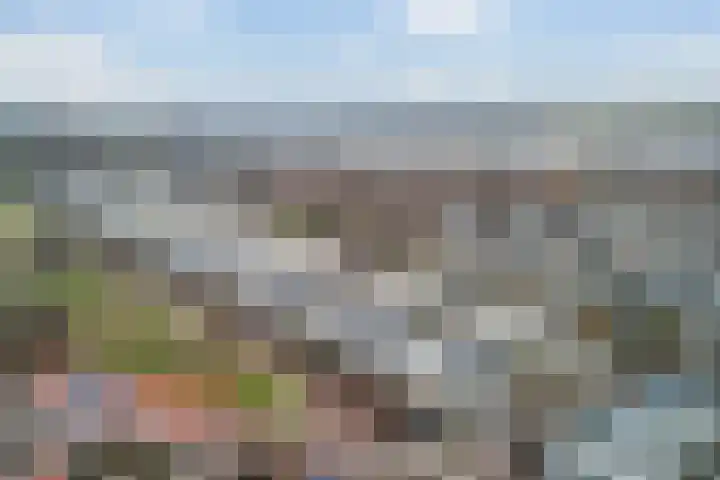 Ponyweide 10 Zoetermeer thumbnail 64