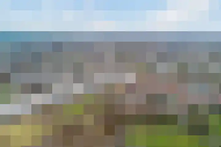 Ponyweide 10 Zoetermeer thumbnail 65