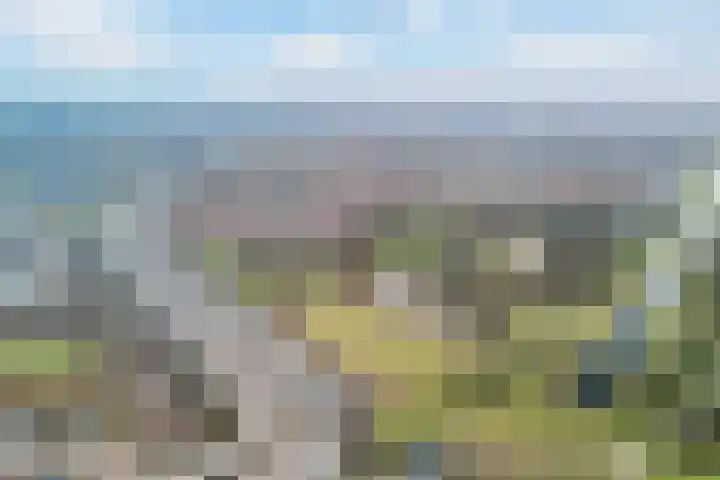 Ponyweide 10 Zoetermeer thumbnail 66