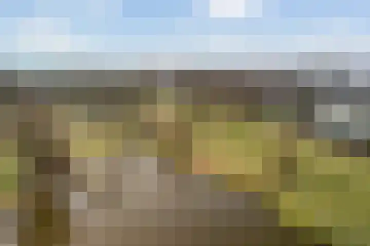 Ponyweide 10 Zoetermeer thumbnail 67