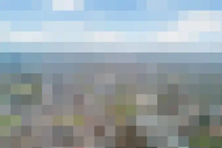 Ponyweide 10 Zoetermeer thumbnail 69