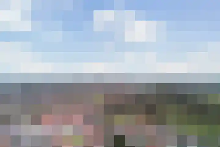 Ponyweide 10 Zoetermeer thumbnail 70