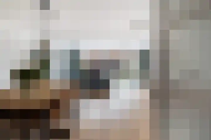 Ponyweide 10 Zoetermeer thumbnail 8