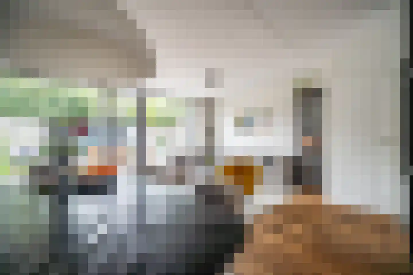 Ponyweide 122 Zoetermeer thumbnail 10