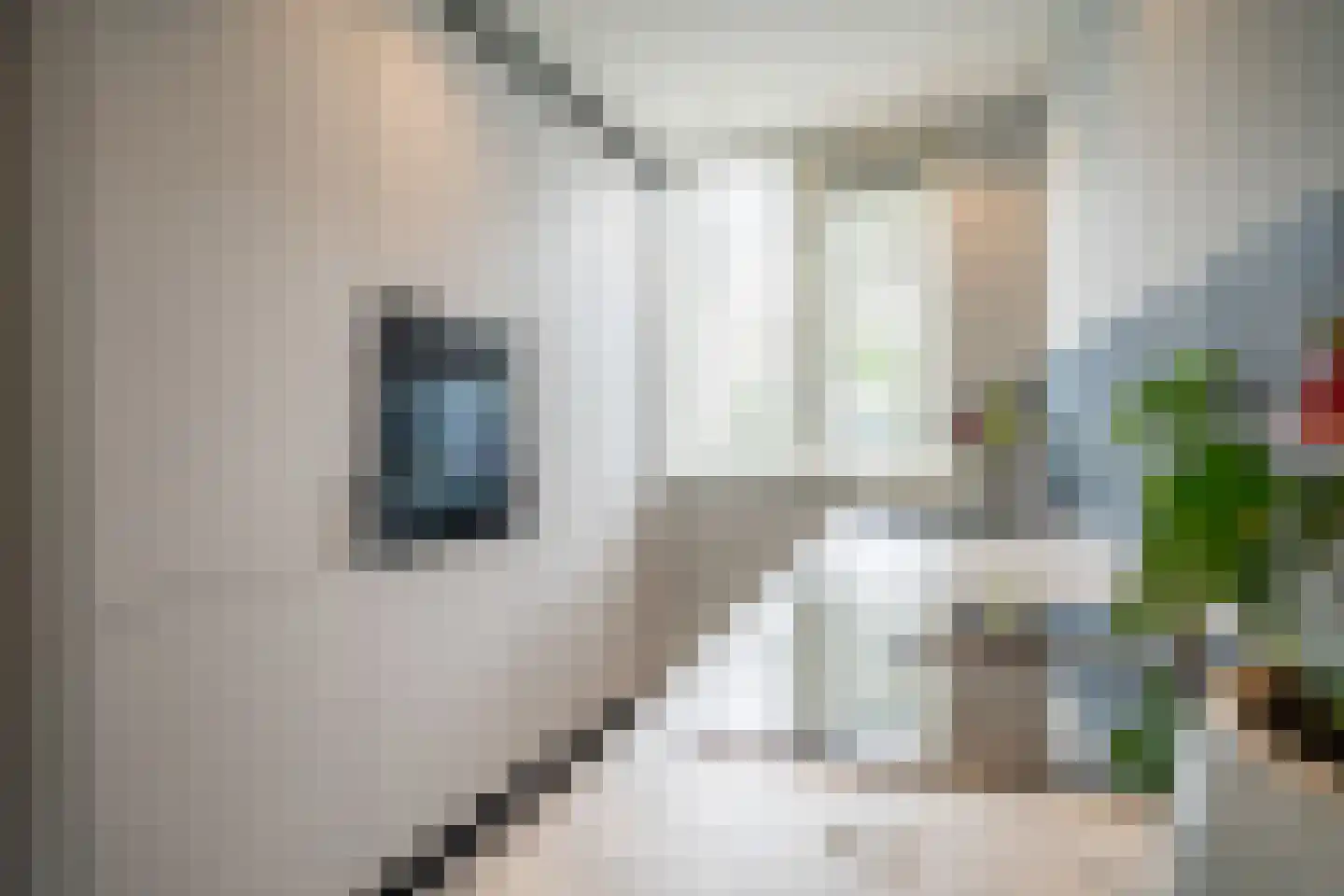 Ponyweide 122 Zoetermeer thumbnail 12