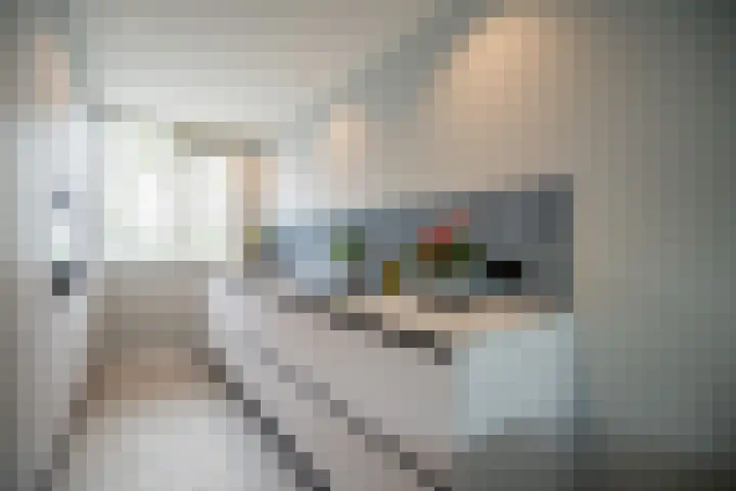 Ponyweide 122 Zoetermeer thumbnail 13