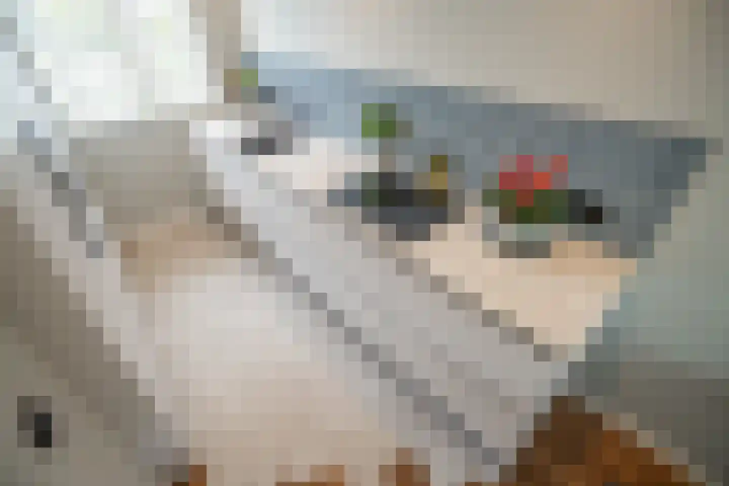 Ponyweide 122 Zoetermeer thumbnail 14