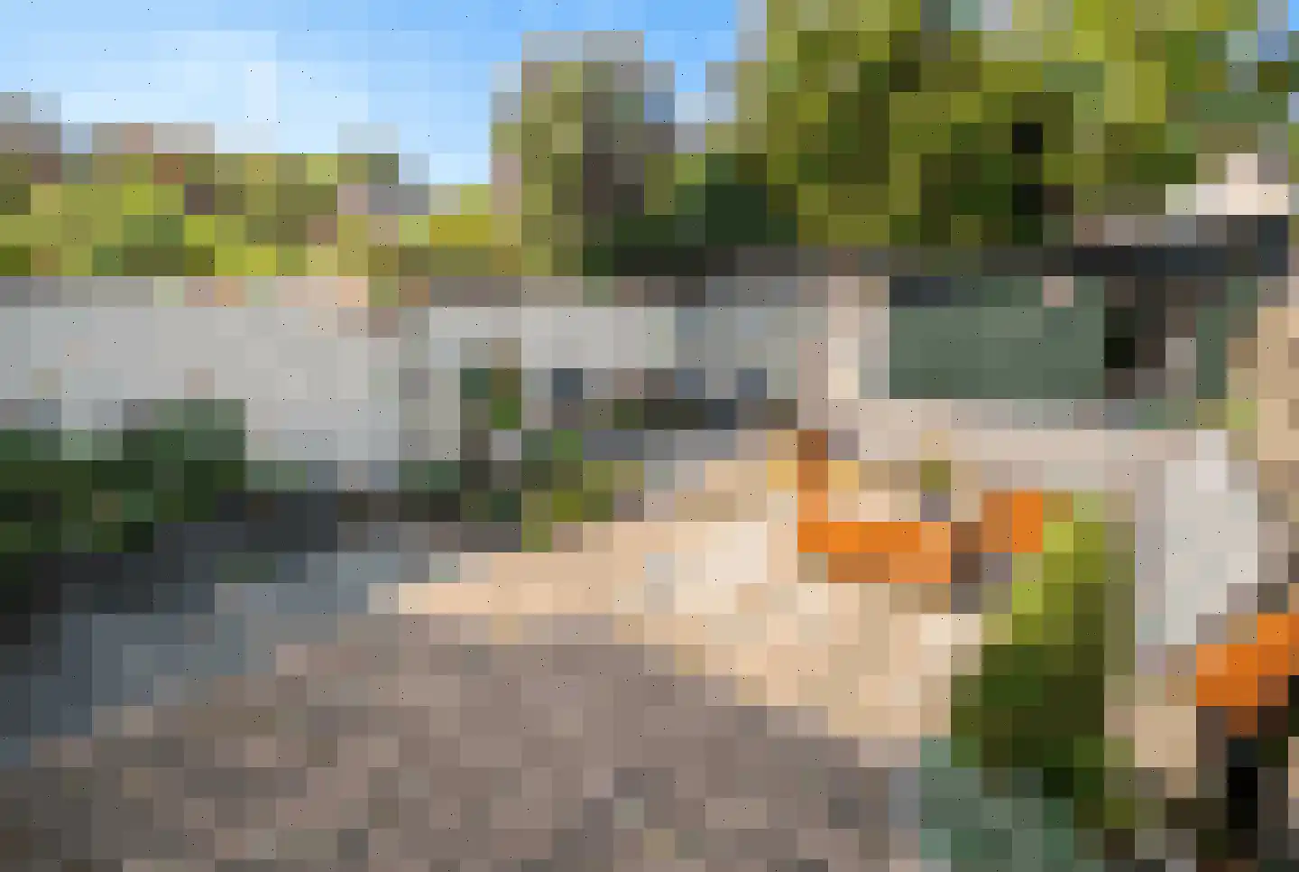 Ponyweide 122 Zoetermeer thumbnail 15