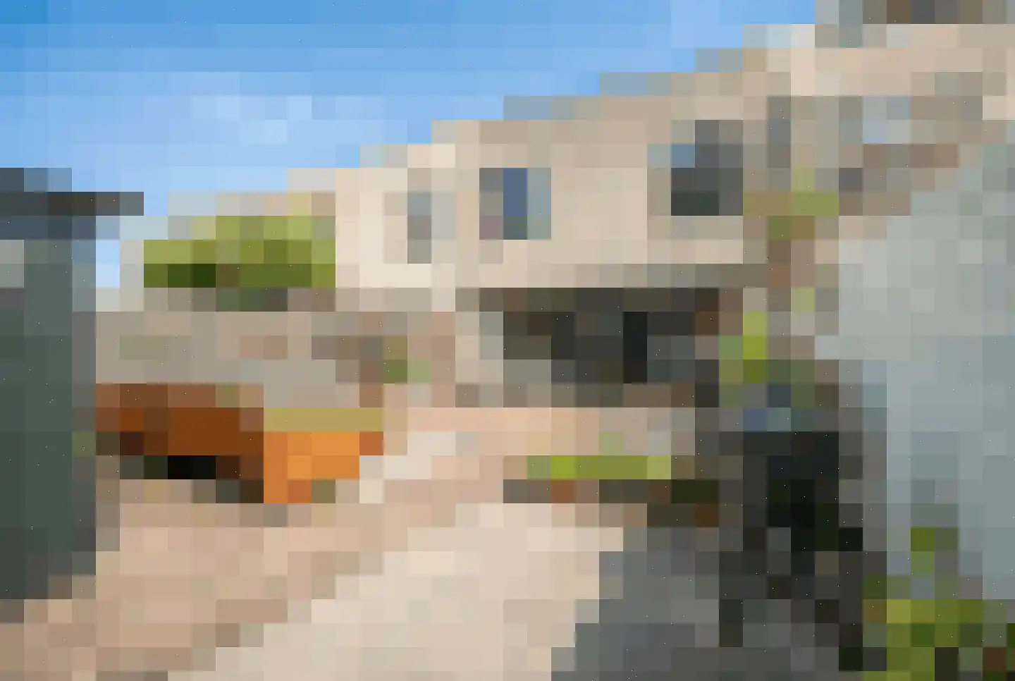 Ponyweide 122 Zoetermeer thumbnail 23