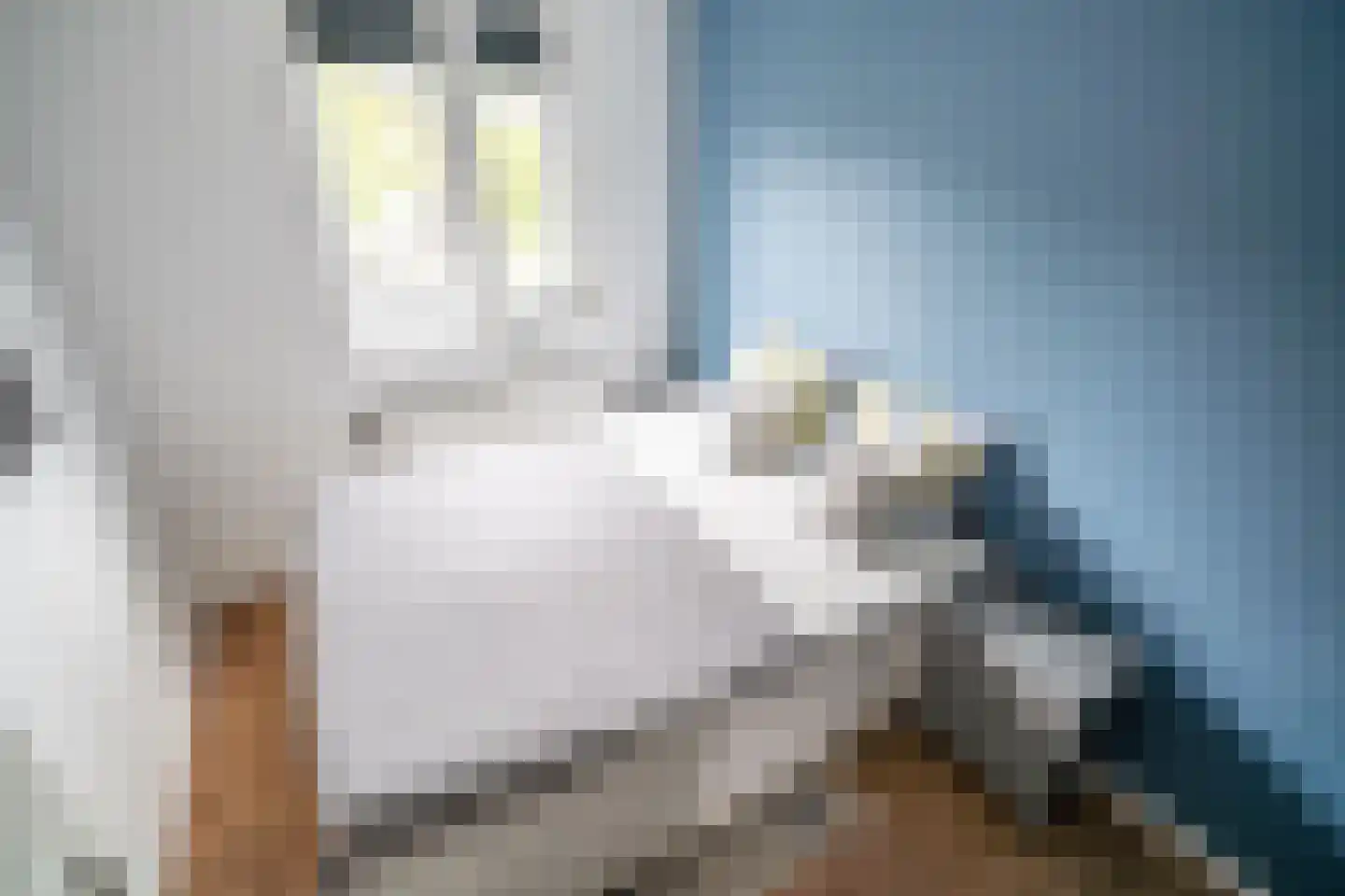 Ponyweide 122 Zoetermeer thumbnail 28
