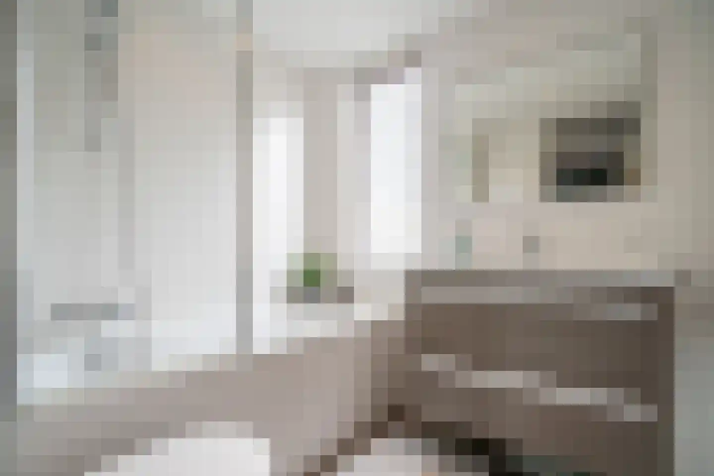 Ponyweide 122 Zoetermeer thumbnail 32