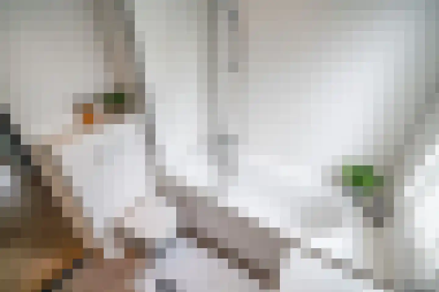 Ponyweide 122 Zoetermeer thumbnail 33